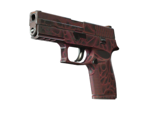 P250 | Contaminant (Field-Tested)
