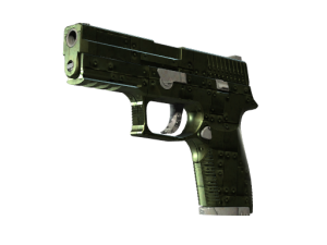 P250 | Iron Clad (Minimal Wear)