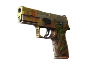 StatTrak™ P250 | Inferno (Field-Tested)