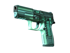 StatTrak™ P250 | X-Ray (Factory New)