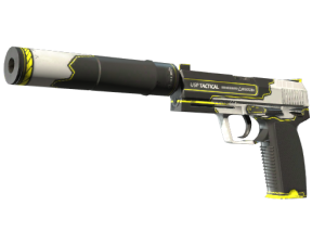 USP-S | Torque (Factory New)