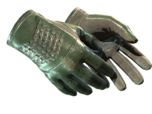 ★ Driver Gloves | Racing Green (Field-Tested)