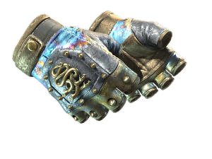 ★ Hydra Gloves | Case Hardened (Well-Worn)