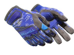 ★ Specialist Gloves | Cloud Chaser (Field-Tested)
