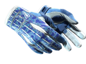 ★ Sport Gloves | Amphibious (Minimal Wear)
