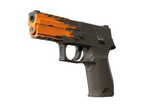 P250 | Splash (Minimal Wear)