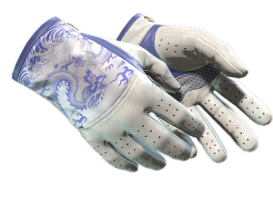 ★ Driver Gloves | Wave Chaser (Minimal Wear)