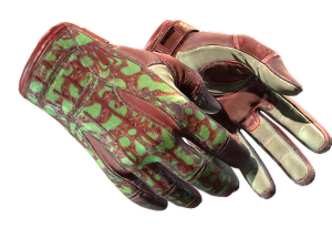 ★ Sport Gloves | Bronze Morph (Well-Worn)